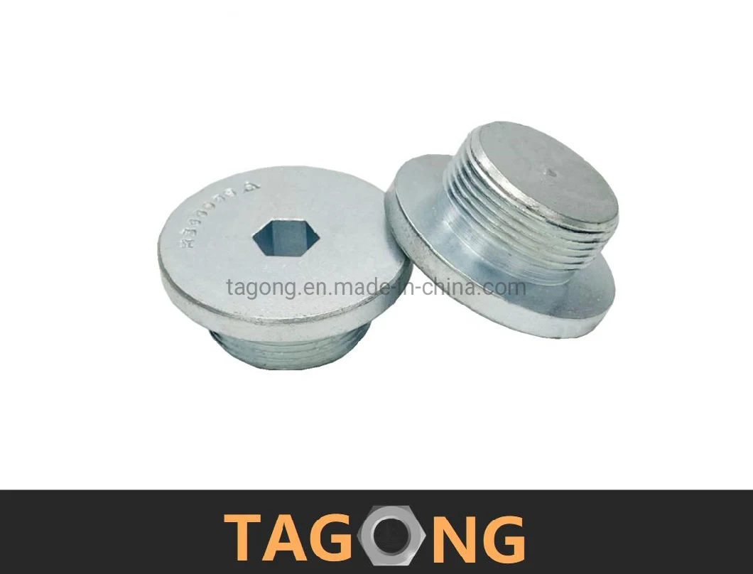 Hexagon Screw Plug O-Ring Sealing Socket Pipe Plugs